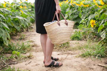 Low section of woman holding basket while standing on field amidst sunflowers at farm