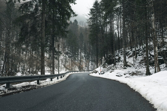 Empty road amidst trees in forest during winter - Powered by Adobe