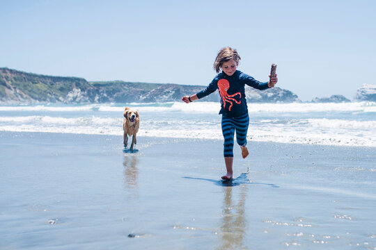 Full length of playful girl with dog running on shore at beach during sunny day
