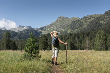 Rear view of female hiker with backpack and stick standing on trail amidst plants against blue sky in forest