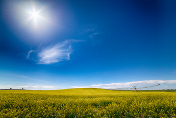 Scenic view of green landscape against blue sky during sunny day