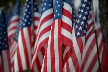 Close-up of American flags