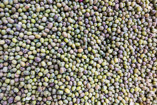 High angle view of mung beans for sale at market