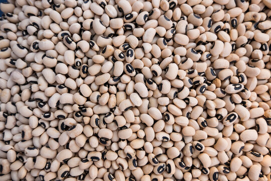High angle view of white beans for sale at market