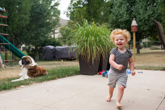 Portrait of cute cheerful baby boy running while Saint Bernard sitting in background at playground