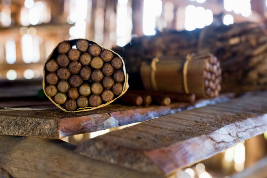 Packages of hand made cuban cigars with tobacco leaves