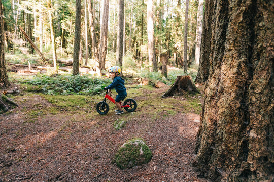 Toddler boy biking in the forest