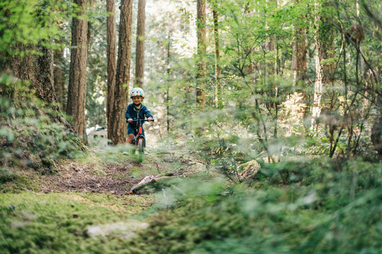 Little boy riding a bicycle in the forest