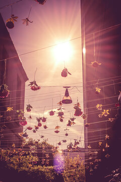 Floral Art Made Of Colorful Artificial Flowers As Street Decoration