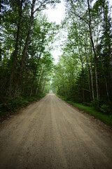 Obraz premium Savannah Portage State Park