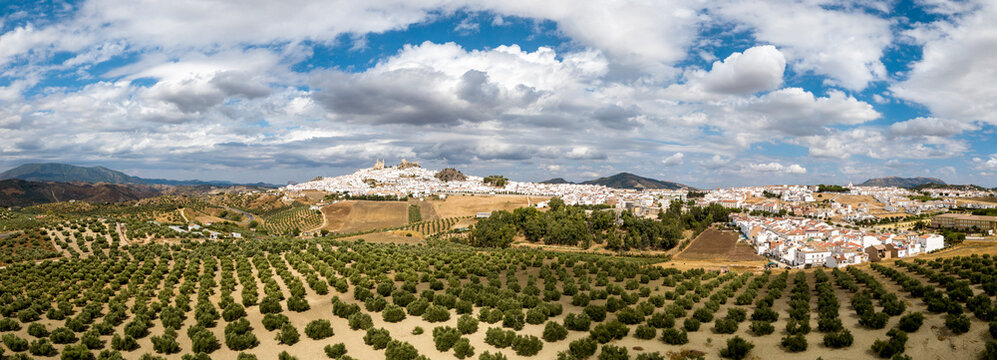 Panoramic of White Town of Olvera, Cadiz province, Spain