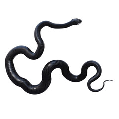 3D illustration of Black rat snake.