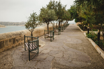 a row of garden benches and a tree lined path facing the sea