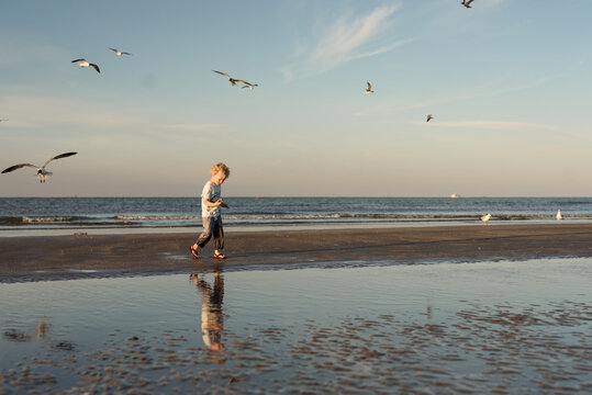 Young boy holding a shell walking in the sand on a beach