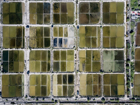 Fototapeta Aerial view of Salt plantations