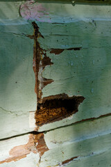 Rotten weatherboards under repair, renovating and maintaining an old wooden Kiwi bungalow. Aotearoa / New Zealand.