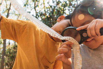 Brother and sister see the molt of a snake with a magnifying glass