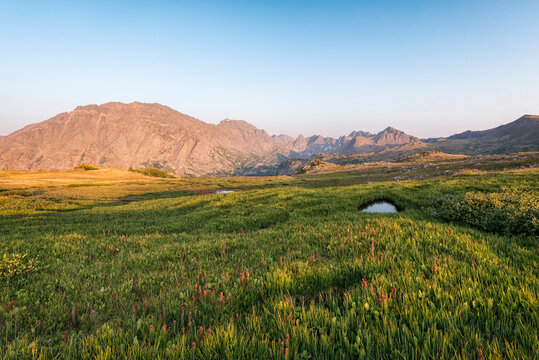Tundra landscape in the Eagles Nest Wilderness, Colorado