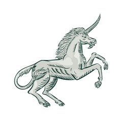 Fototapeta premium Unicorn Horse Prancing Side Etching
