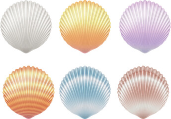 Set of seashell isolated on white background. Vector illustration.