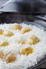 栗ご飯　　スタジオ撮影