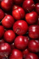 Fresh ripe cherry plums as background, closeup