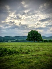 field and blue sky