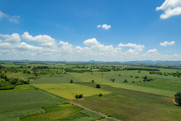 high angle view of farm, grow plants, nice landscape