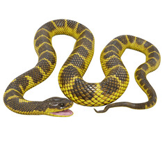 3D illustration of Tiger snake.