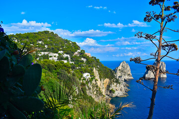 Capri, Italy, Faraglioni di Mezzo (o Saetta) viewed from Giardini di Augusto (Capri Overlook) Mallo Island
