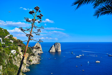 Capri, Italy, faraglioni viewed from Giardini di Augusto (Capri Overlook) Mallo Island
