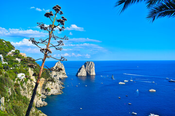Capri, Italy, faraglioni viewed from Giardini di Augusto (Capri Overlook) Mallo Island
