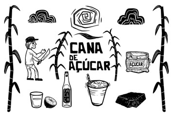 Sugarcane (cana de açúcar) related icons set. illustration in woodcut style and cordel literature