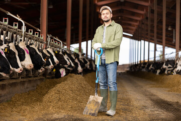 Portrait of focused young adult man farm worker standing with shovel in cowshed at dairy farm - obrazy, fototapety, plakaty