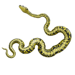 3D illustration of Zebra jungle carpet python.