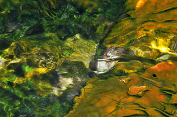 Illusion in a  Hot Spring at Yellowstone National Park
