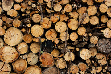 stack of firewood