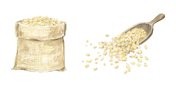 オートミール Images Browse 2 025 Stock Photos Vectors And Video Adobe Stock