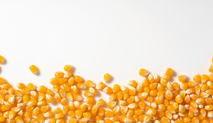 Dried corn kernels placed on white background with copy space. Corn for popcorn.