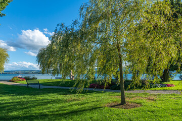 Ferien Sommer Allensbach am schönen Bodensee blauer Himmel und Sonnenschein 