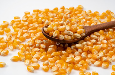 Dried corn kernels and wooden spoon placed on white background.