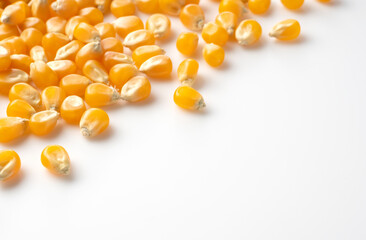 Dried corn kernels placed on white background with copy space.