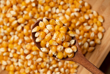 Dried corn kernels scooped with a wooden spoon. Corn for popcorn.