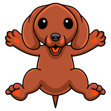 Cute dachshund dog cartoon posing