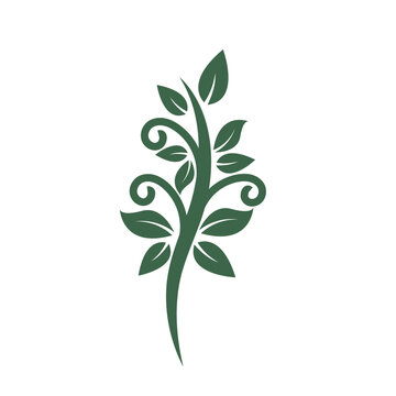 plant or tree  icon vector illustration design template