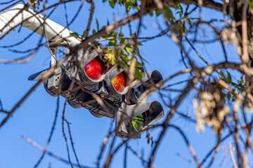 Traffic light behind tree branches on a blue sky background