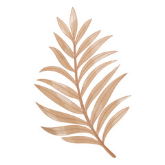 Watercolor Dried Leaf, Branches clipart.