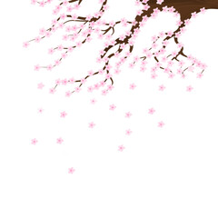 sakura flower illustration © finairmawati