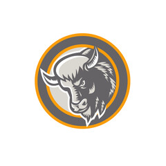 American Buffalo Bison Head Circle Retro