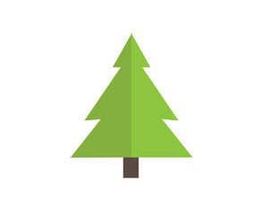 tree isolated on white